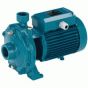 Calpeda NMD 40/180D/B Threaded End Suction Pump - 3 Phase
