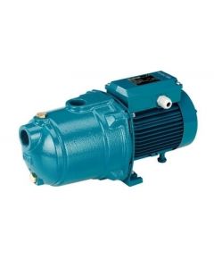 Calpeda MGPM 202 Horizontal Multistage Pumps (1 Phase)