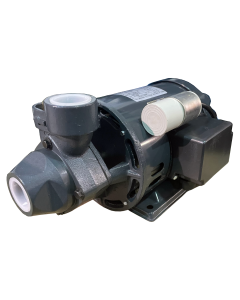 Lowara P 40/D Series Peripheral Pump (3 Phase)