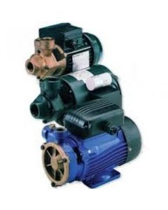 Lowara PM40 Series Peripheral Pump (1 Phase)