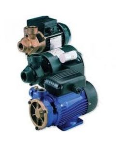 Lowara PM60 Series Peripheral Pump (1 Phase)
