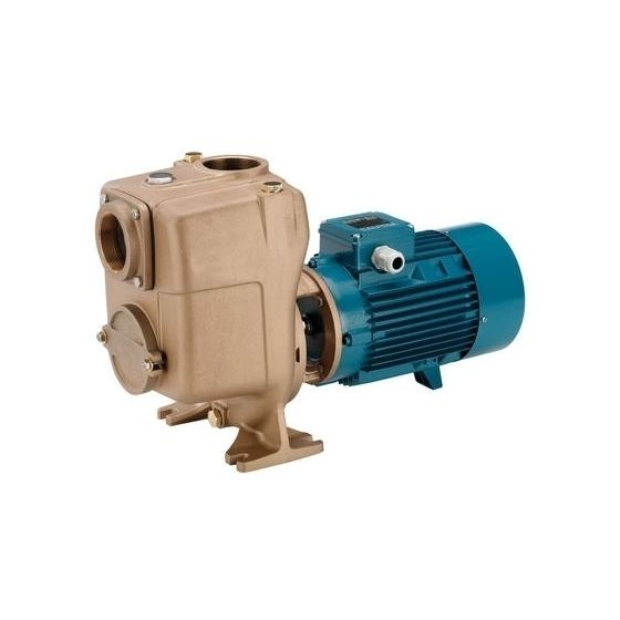 Calpeda BAM 50-125CE Self-Priming Pump (1 Phase)