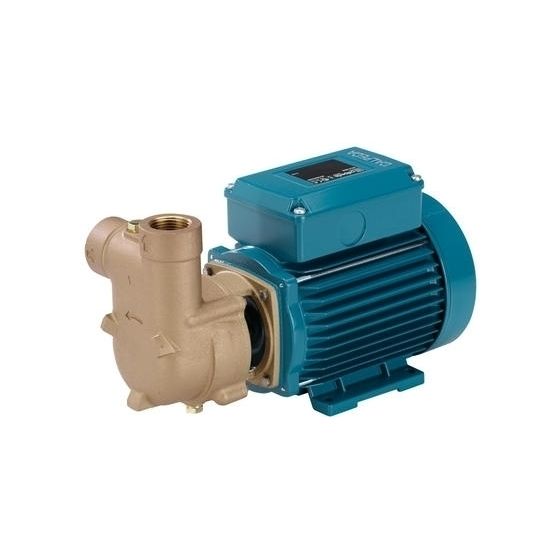 Calpeda B-CAM 60E Self Priming Pump (1 Phase)