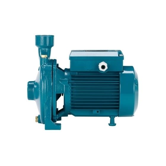 Calpeda NMM 10/AE Threaded End Suction Pump - 1 Phase