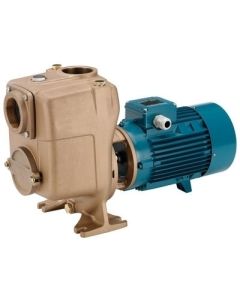 Calpeda BAM 50-125AE Self-Priming Pump (1 Phase)