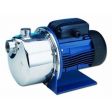 Lowara BG 3/A Centrifugal Pump (3 Phase)