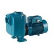 Calpeda A 50-125B/A Self-Priming Centrifugal Pump (3PH)