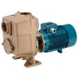 Calpeda B-A 50-125A/A Self-Priming Pump (3 Phase)