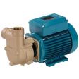 Calpeda B-CAM 60E Self Priming Pump (1 Phase)