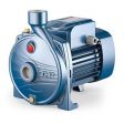 Pedrollo CPm 100 Centrifugal Pump (1 Phase)