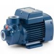 Pedrollo PKm 100 Peripheral Pump (1 Phase)