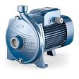 Pedrollo CPm 160B Centrifugal Pump (1 Phase)