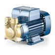 Pedrollo PV 81 Peripheral Pump (3 Phase)