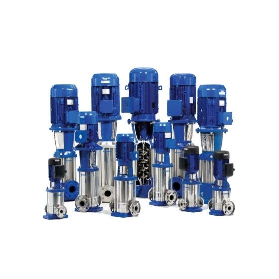 Lowara e-SV 22SV06T075T/E Vertical Multistage Pump