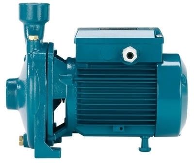 Calpeda NMM 1/AE Threaded End Suction Pump - 1 Phase